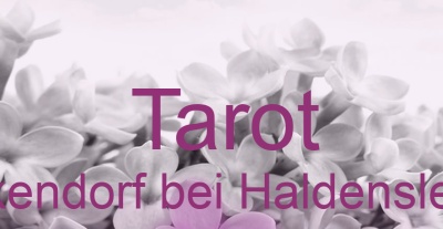 Tarot Eickendorf bei Haldensleben | Top-Experten für Kartenlegen, Wahrsagen, Hellsehen, Zukunftsdeutung. Tarot Eickendorf bei Haldensleben | Top-Experten für Kartenlegen, Wahrsagen, Hellsehen, Zukunftsdeutung.